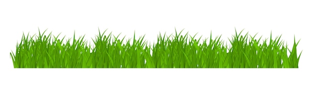 Grass border isolated