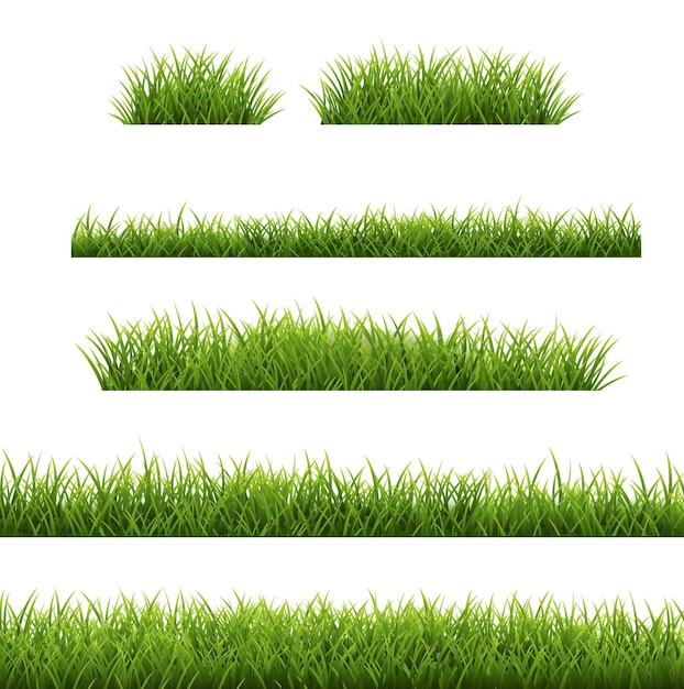 Grass Border Set Isolated White Background