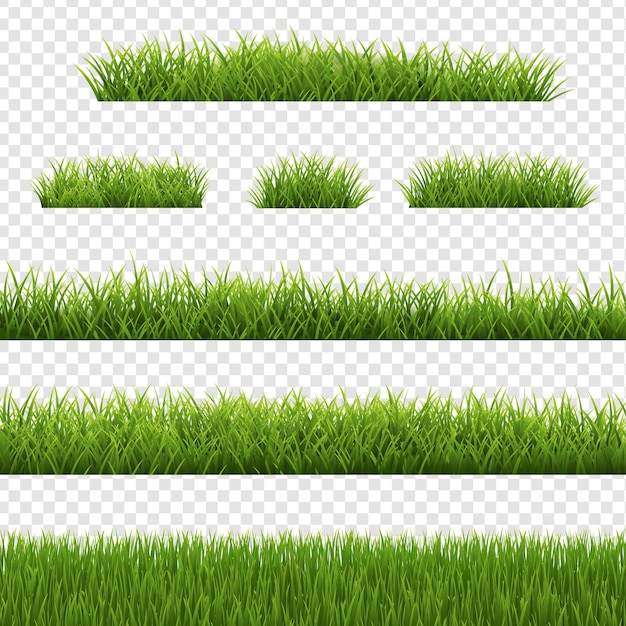 Grass Border Set And Transparent Background