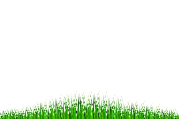 Vector grass border summer natural background green grass vector illustration eps 10 stock image