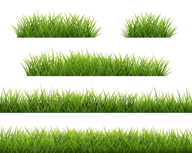 Grass Border And White Background