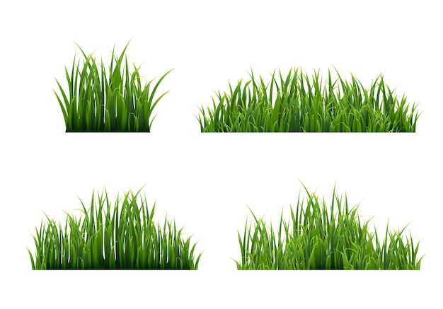 Grass border with