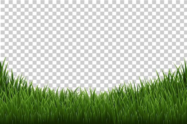 Grass Border 