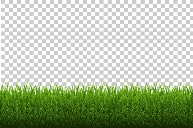 grass border 