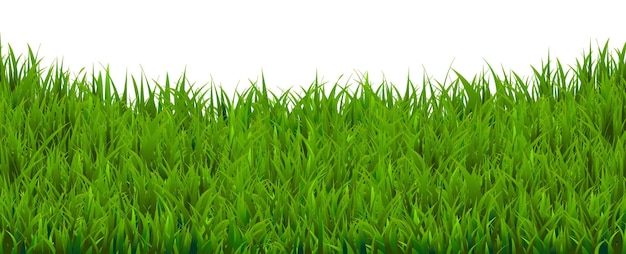 Grass Border 