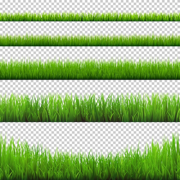 草の 緑の草原 自然の背景 イースターカード デザイン要素ベクトル