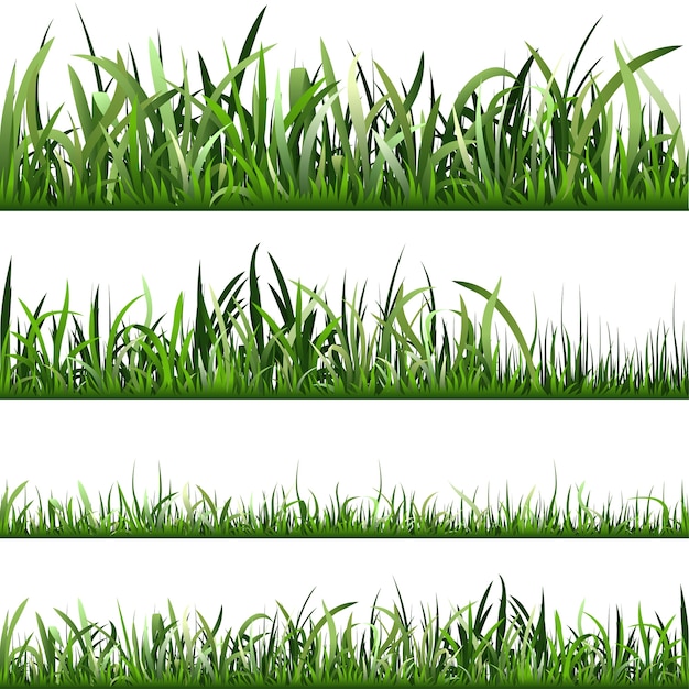 Grass borders at different lengths