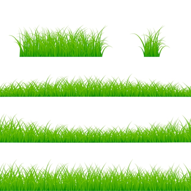 Vettore set di bordi di erba. panorama di piante di erba. illustrazione su sfondo bianco