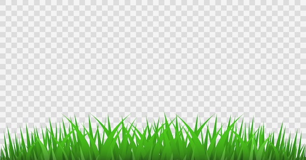 Vector grass borders set,  illustration