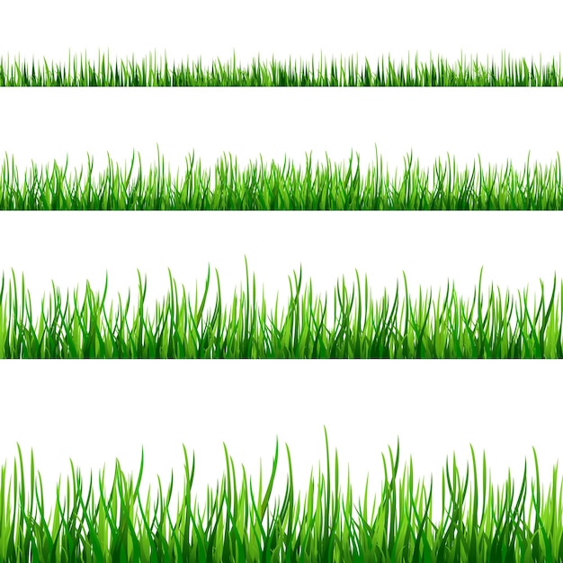 grass borders set isolated on white