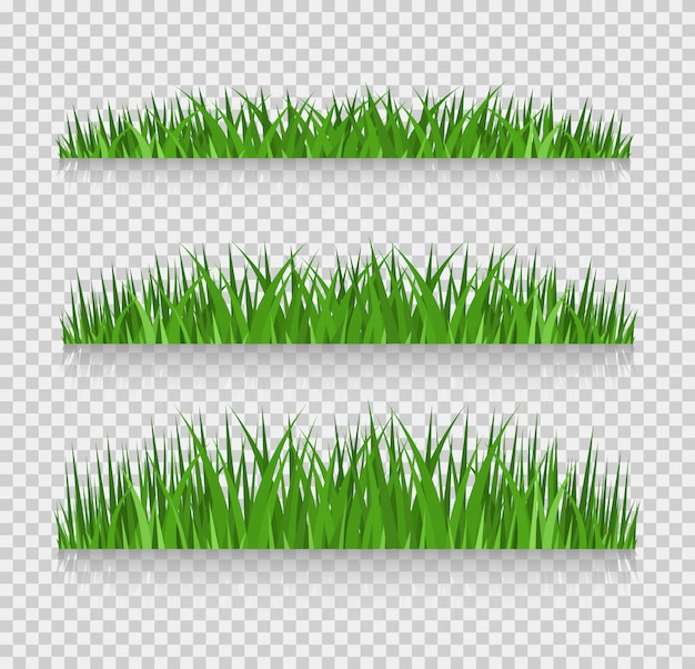 Границы травы установлены, векторная иллюстрация