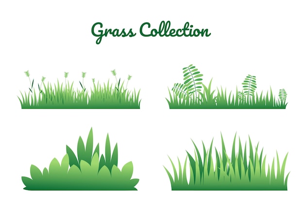 Grass collection vector