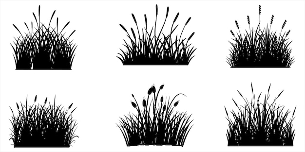 Grass Design Set Outline Vector On White Background