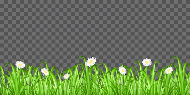 Vector grass and flower on transparent background vector