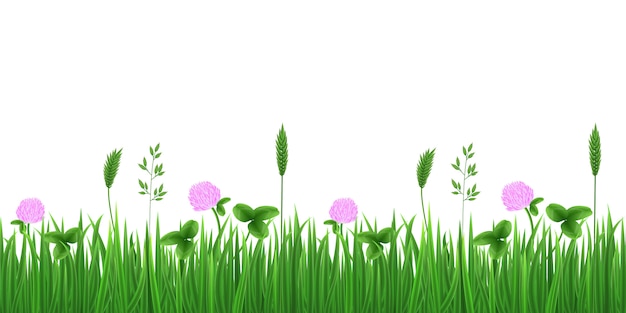 Grass, flowers and clover leaves