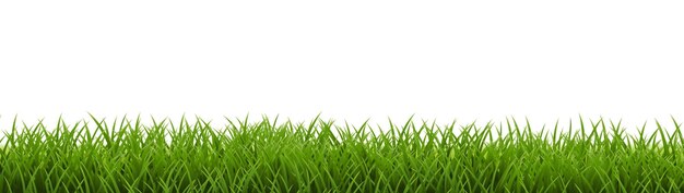 Grass frame with isolated white background