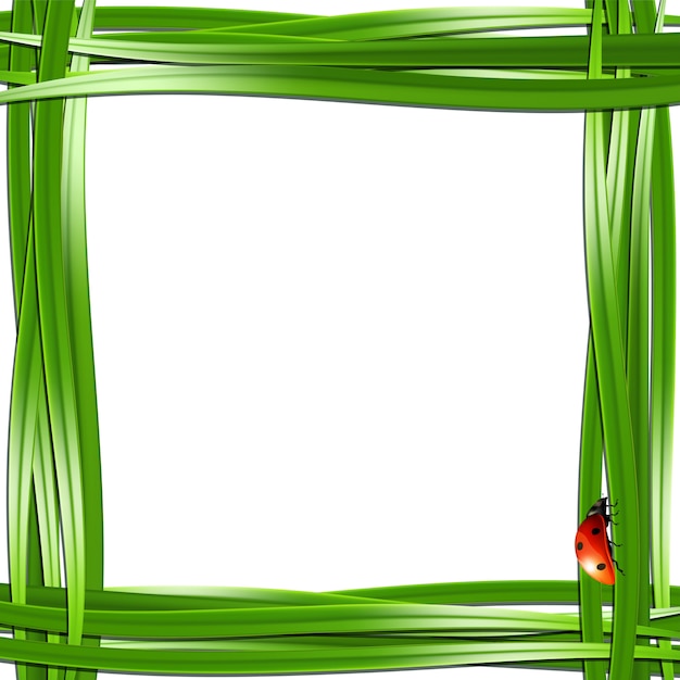 Grass frame with ladybugs.