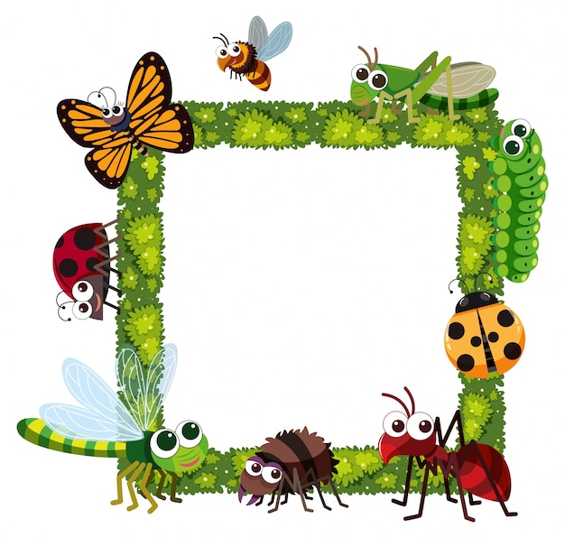 Vector grass frame with many insects