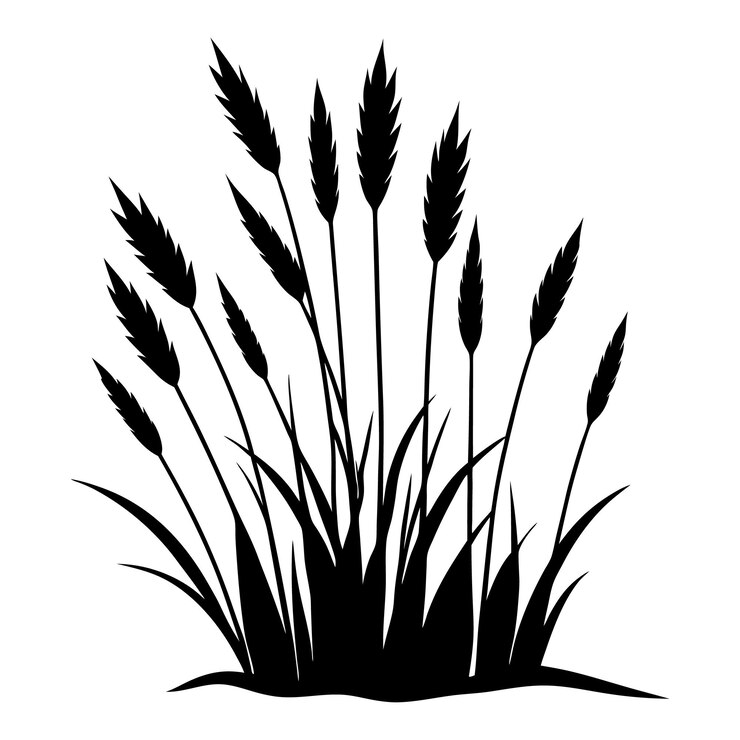 Vector grass hand drawn isolated vector silhouette