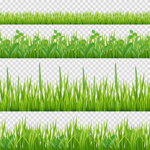 Grass herbs pattern. Nature symbols leaves and herbs horizontal  seamless background