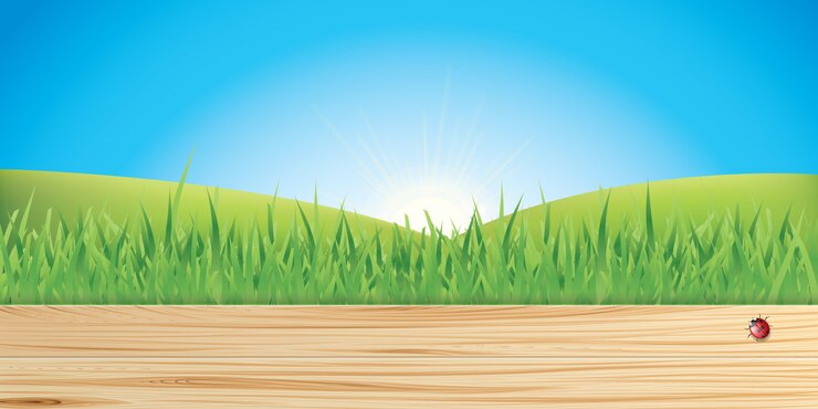 Vector grass illustration background