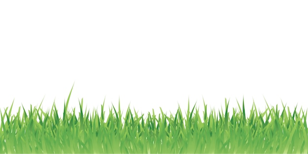 Grass illustration border