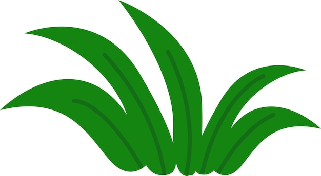 Grass Illustration