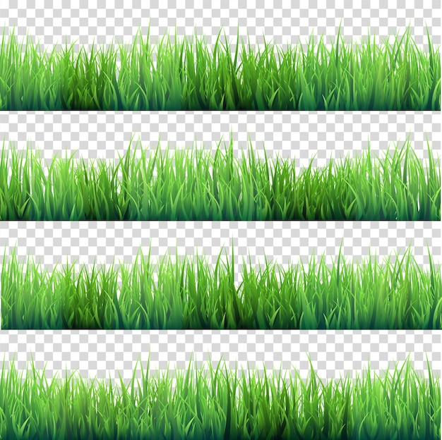 透明な背景に草が散らばっている 緑の草原 自然の背景 春 夏の時間