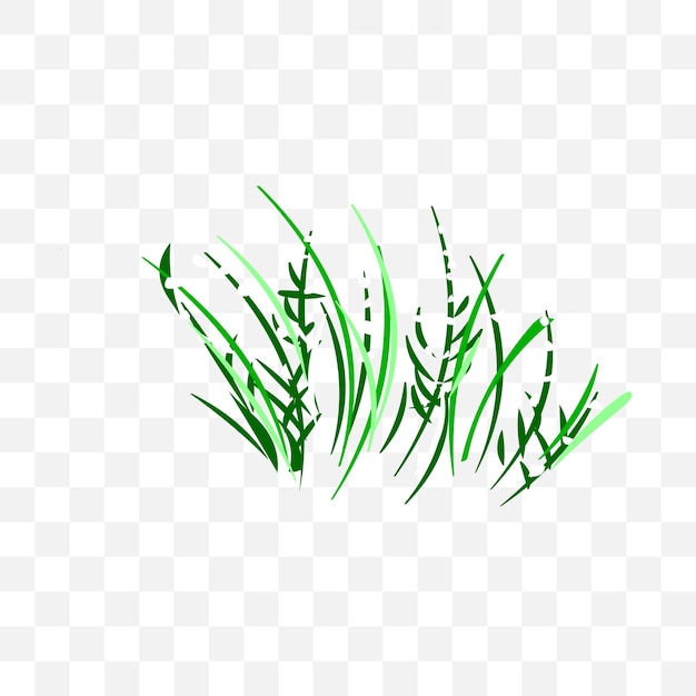 Grass isolated vector illustration