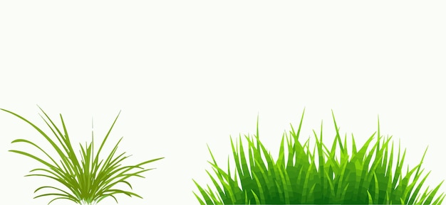 Grass Meadow Flowery Shapes CutOut 3d Rendering met witte achtergrond