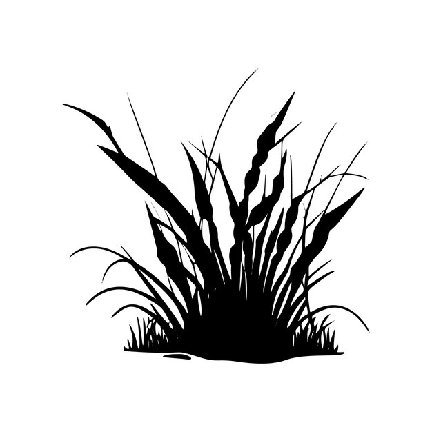 Grass nature's silhouette botanical vector illustration