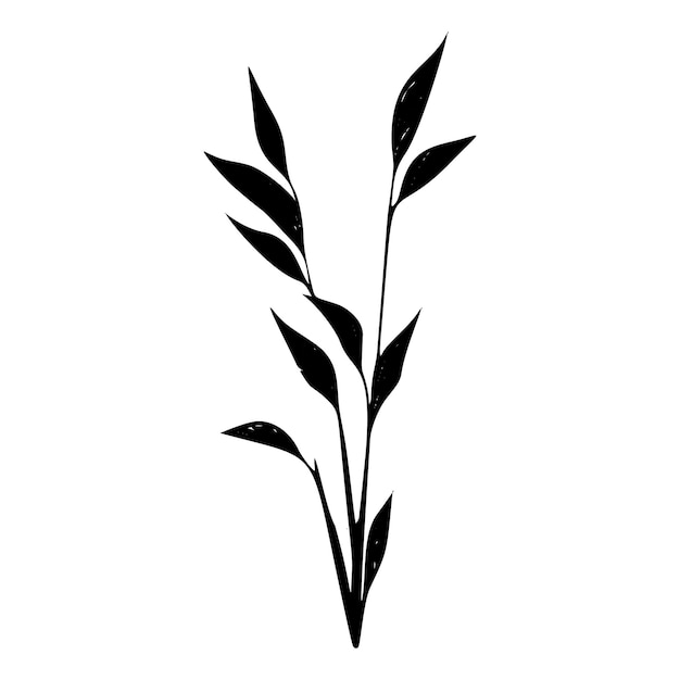 Premium Vector | Grass nature's silhouette botanical vector illustration