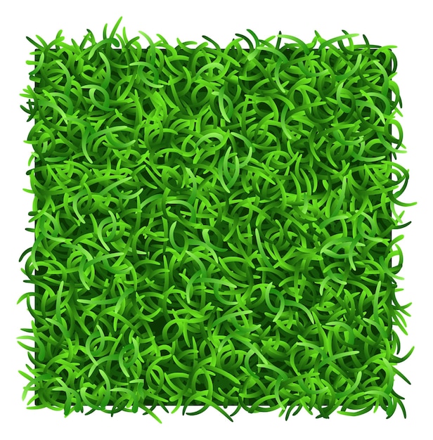 Grass patch top view Realistic lawn tile