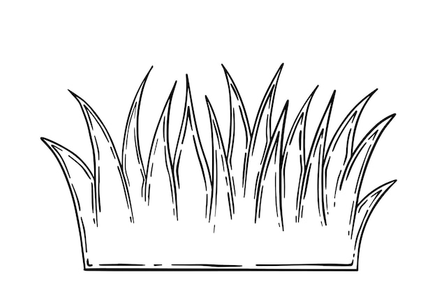 Vector grass plant doodle linear