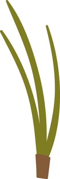 Vector grass plant icon