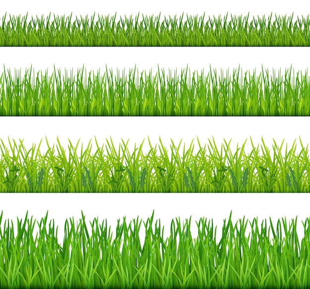 Grass seamless Botanical gardening landscape with various green bushes and leaves decent vector realistic pattern Illustration of botanical decoration background