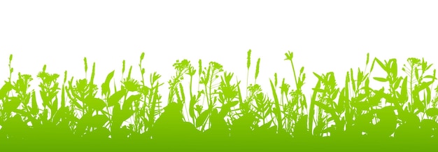 Vector grass silhouette border isolated on white background vector