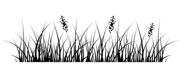 Grass silhouette in set on white background