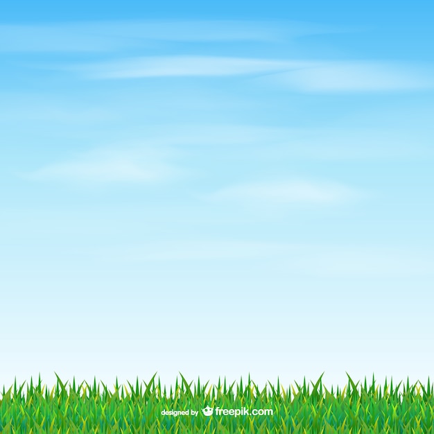 Vettore erba e il cielo di vettore