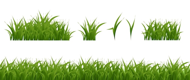 Grass texture green border collection isolated