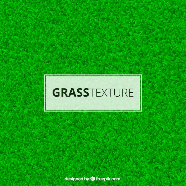 Vector grass texture in realistic style