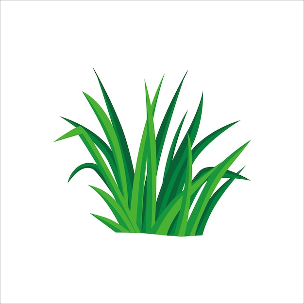 векторная иллюстрация травы. зеленое растение во дворе.