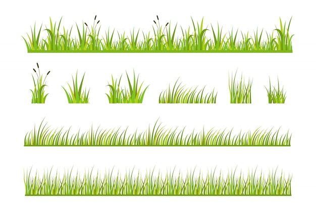 Vector grass vector illustration