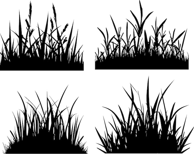 Grass vector silhouette illustration 3