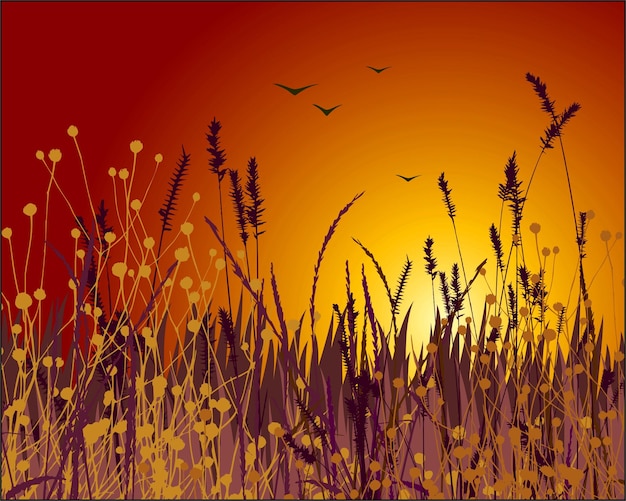grass vector silhouette and sunset