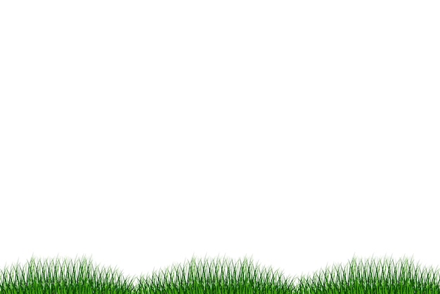 Grass on a white background. Grass field. Grass background. Vector illustration. EPS 10.