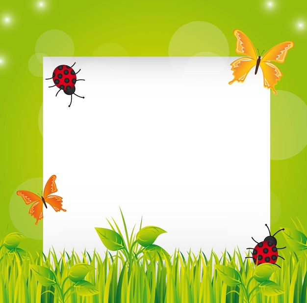 Vector grass with butterfly and ladybug