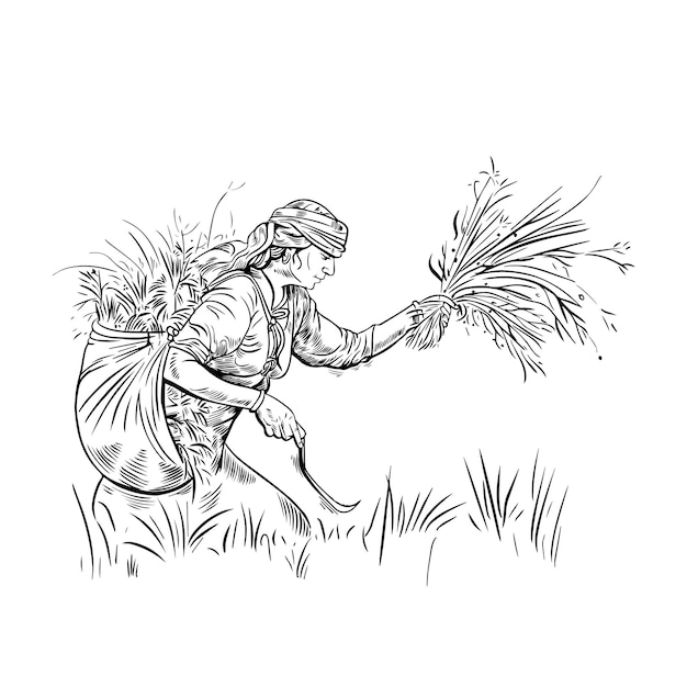 Vector grasscutting women on farm sketching and illustration