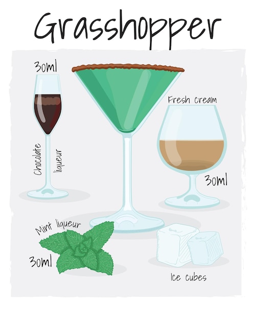 Vector grasshopper cocktail illustration recipe drink with ingredients