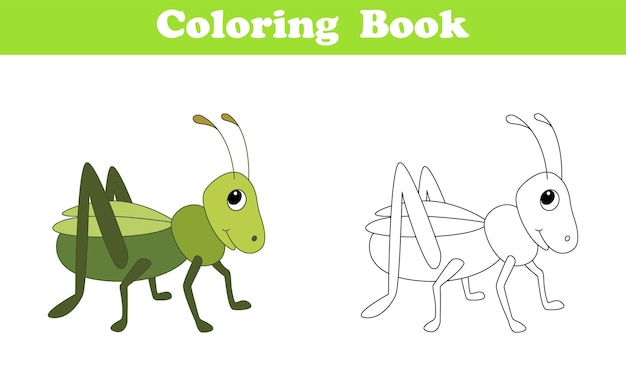 Grasshopper coloring page. Coloring book for children with colorful grasshopper and sketch to color